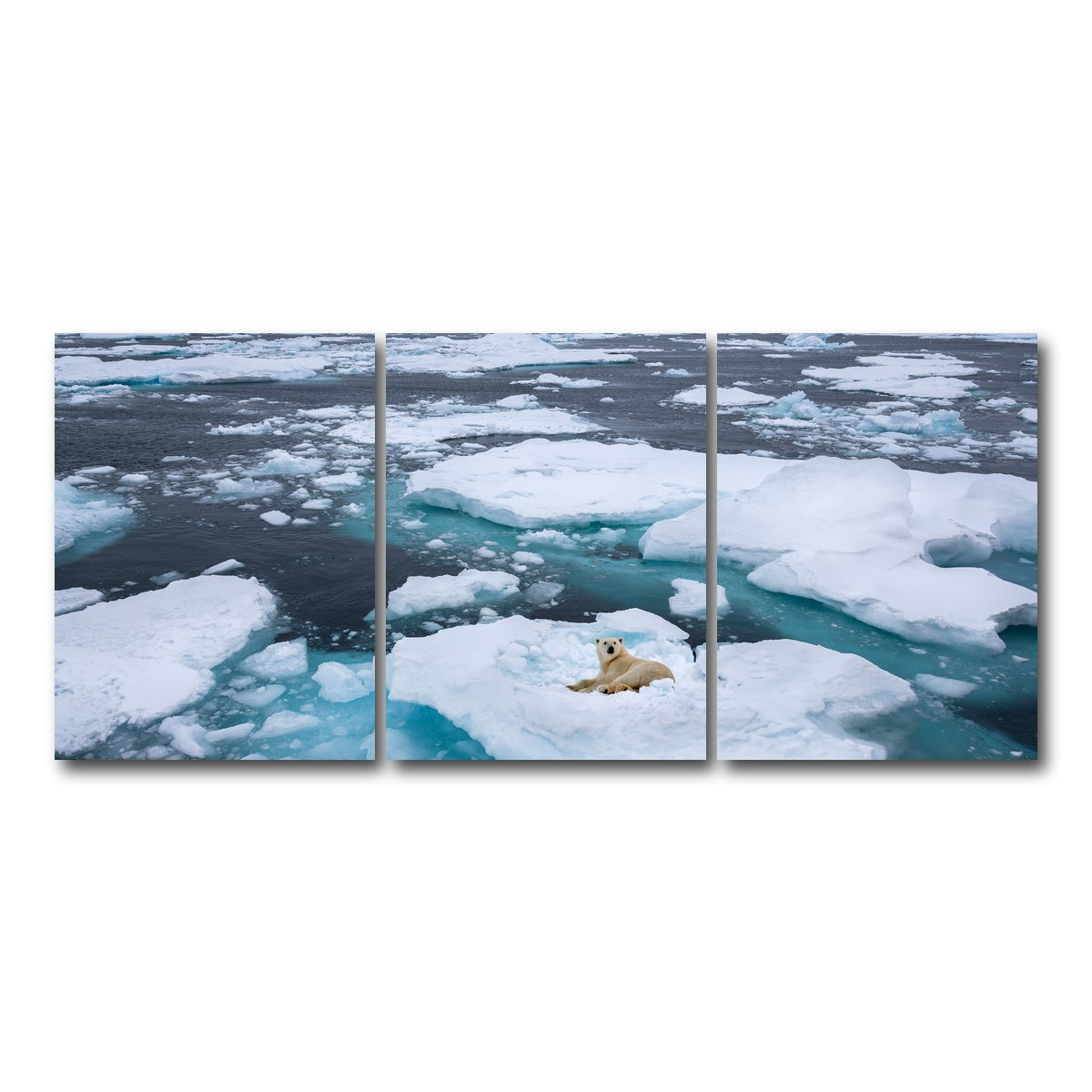 AUTO-MOCKUP WHITE | Polar Bear - Greenland | 3 Piece | Gallery Wrap Canvas | group=18x24