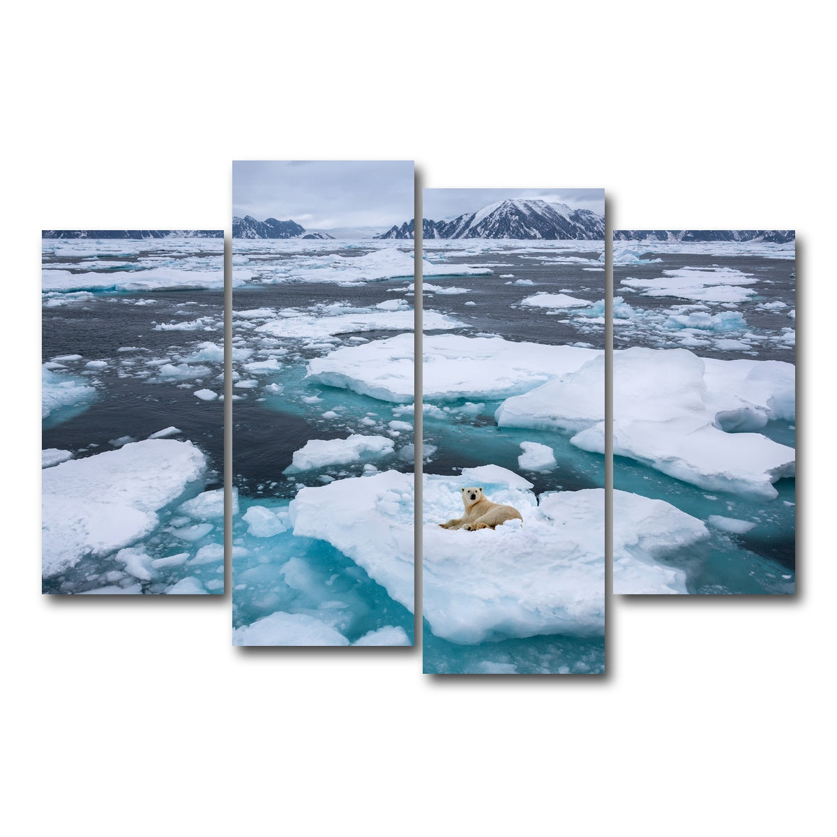AUTO-MOCKUP WHITE | Polar Bear - Greenland | 4 Piece | Gallery Wrap Canvas | group=4_short
