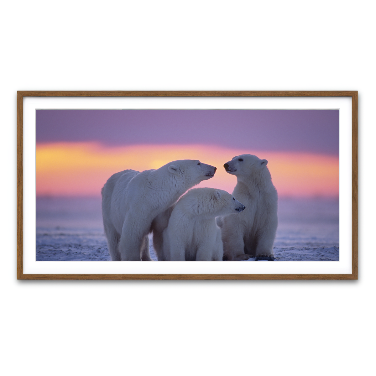 Framed Print 2x1 Walnut