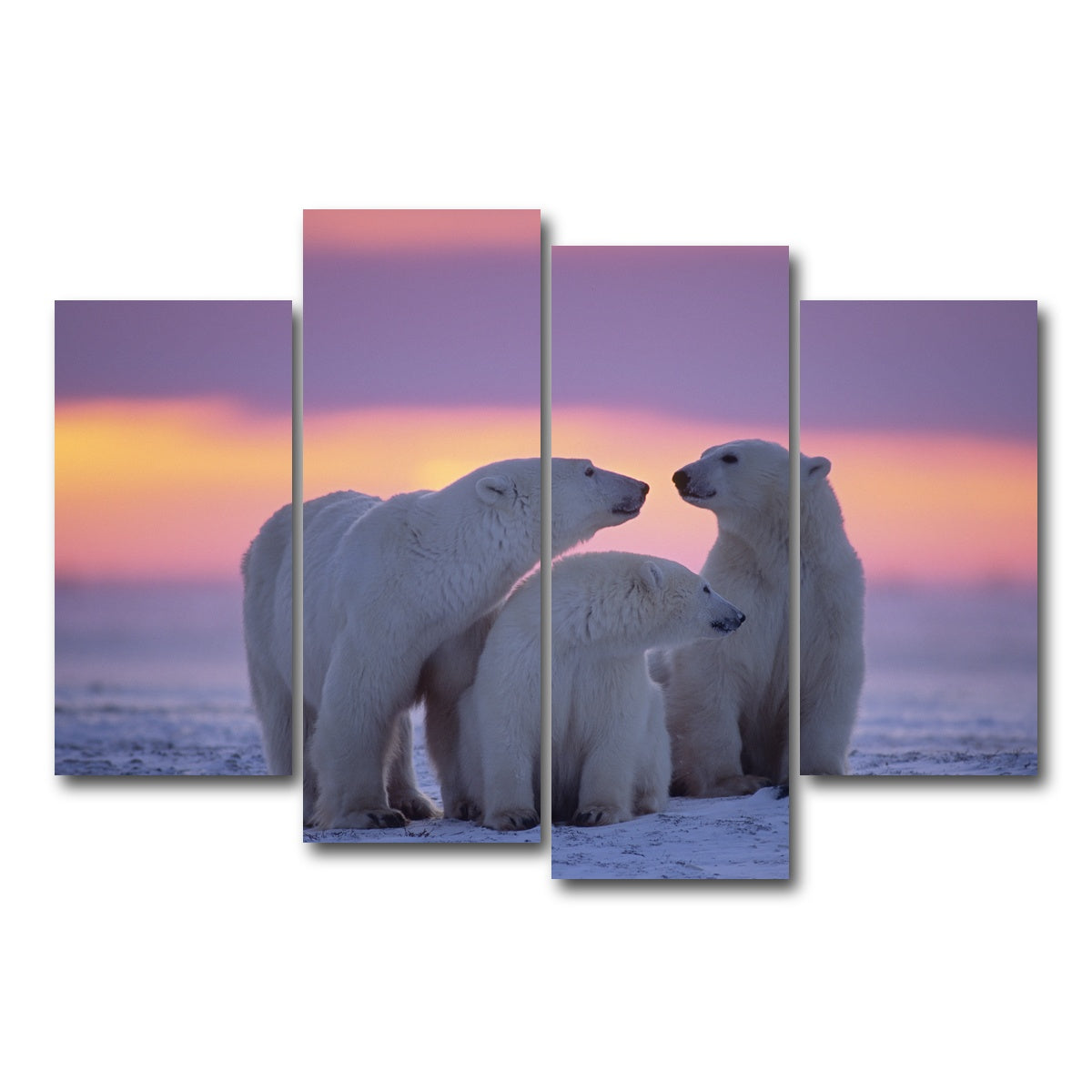 AUTO-MOCKUP WHITE | Polar Bear Family - Canadian Arctic | 4 Piece | Gallery Wrap Canvas | group=4_short