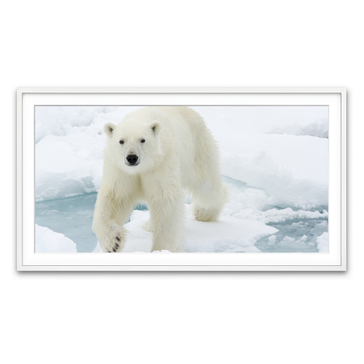 Framed Print 2x1 White