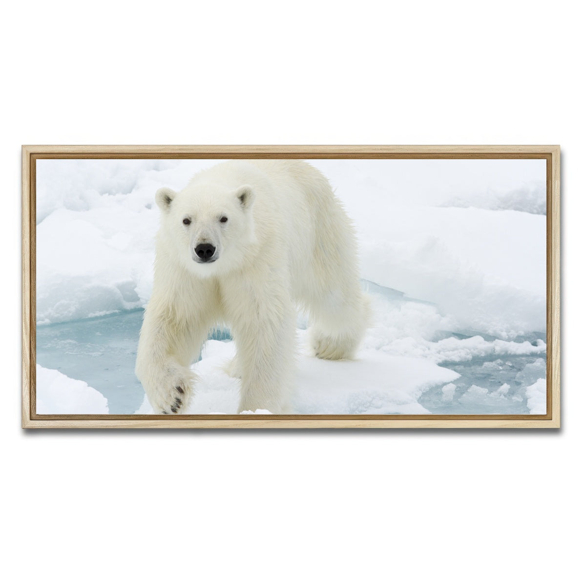 AUTO-MOCKUP WHITE | Polar Bear | 1 Piece | Natural Framed Canvas | group=2x1