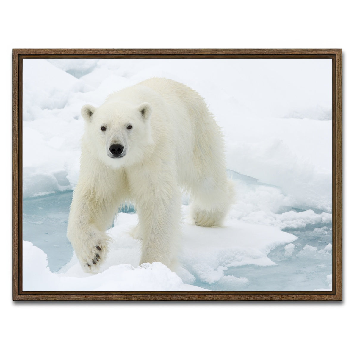AUTO-MOCKUP WHITE | Polar Bear | 1 Piece | Walnut Framed Canvas | group=4x3
