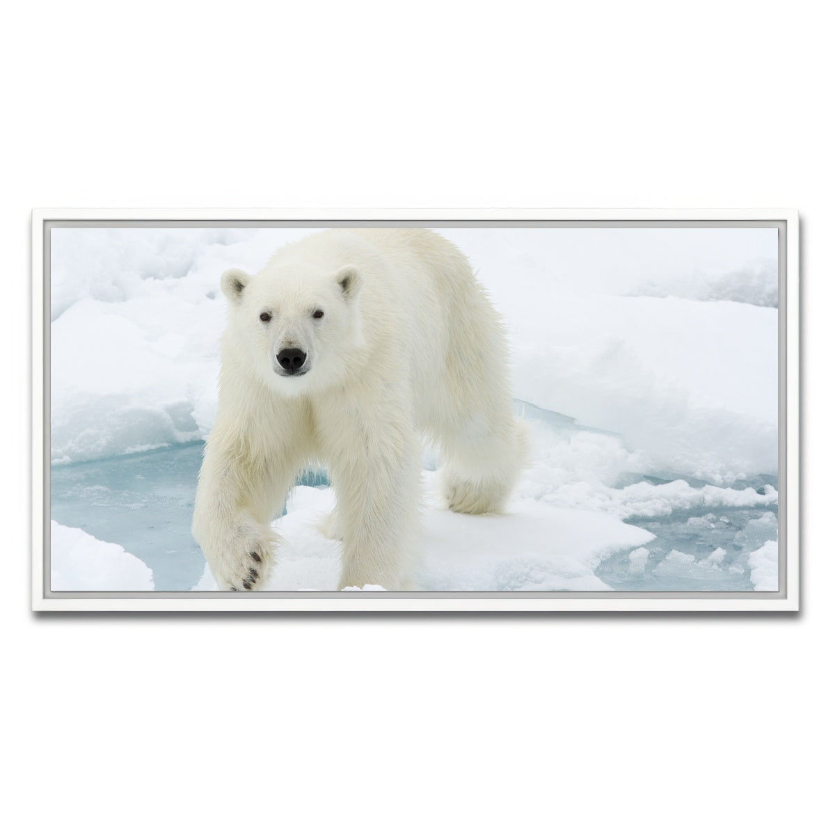 AUTO-MOCKUP WHITE | Polar Bear | 1 Piece | White Framed Canvas | group=2x1