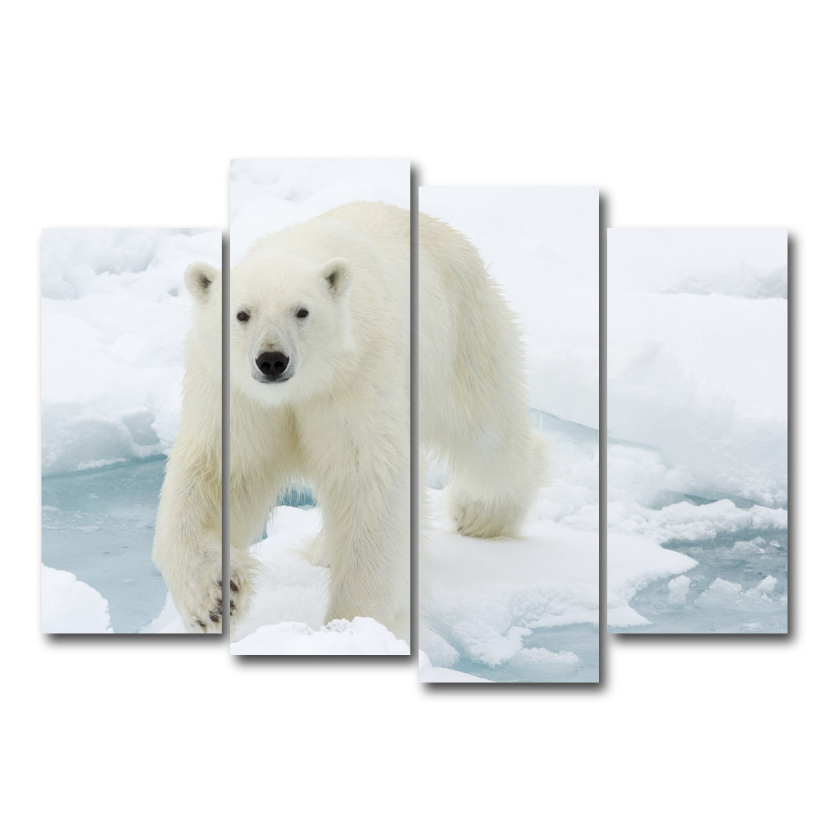 AUTO-MOCKUP WHITE | Polar Bear | 4 Piece | Gallery Wrap Canvas | group=4_normal