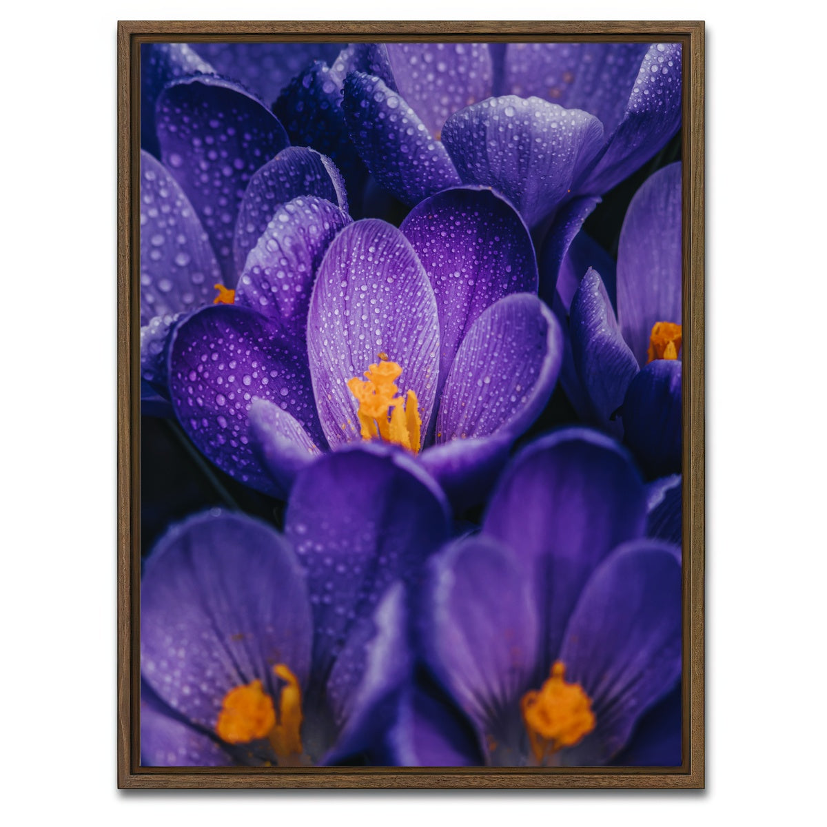 AUTO-MOCKUP WHITE | Pollen Purple | 1 Piece | Walnut Framed Canvas | group=3x4