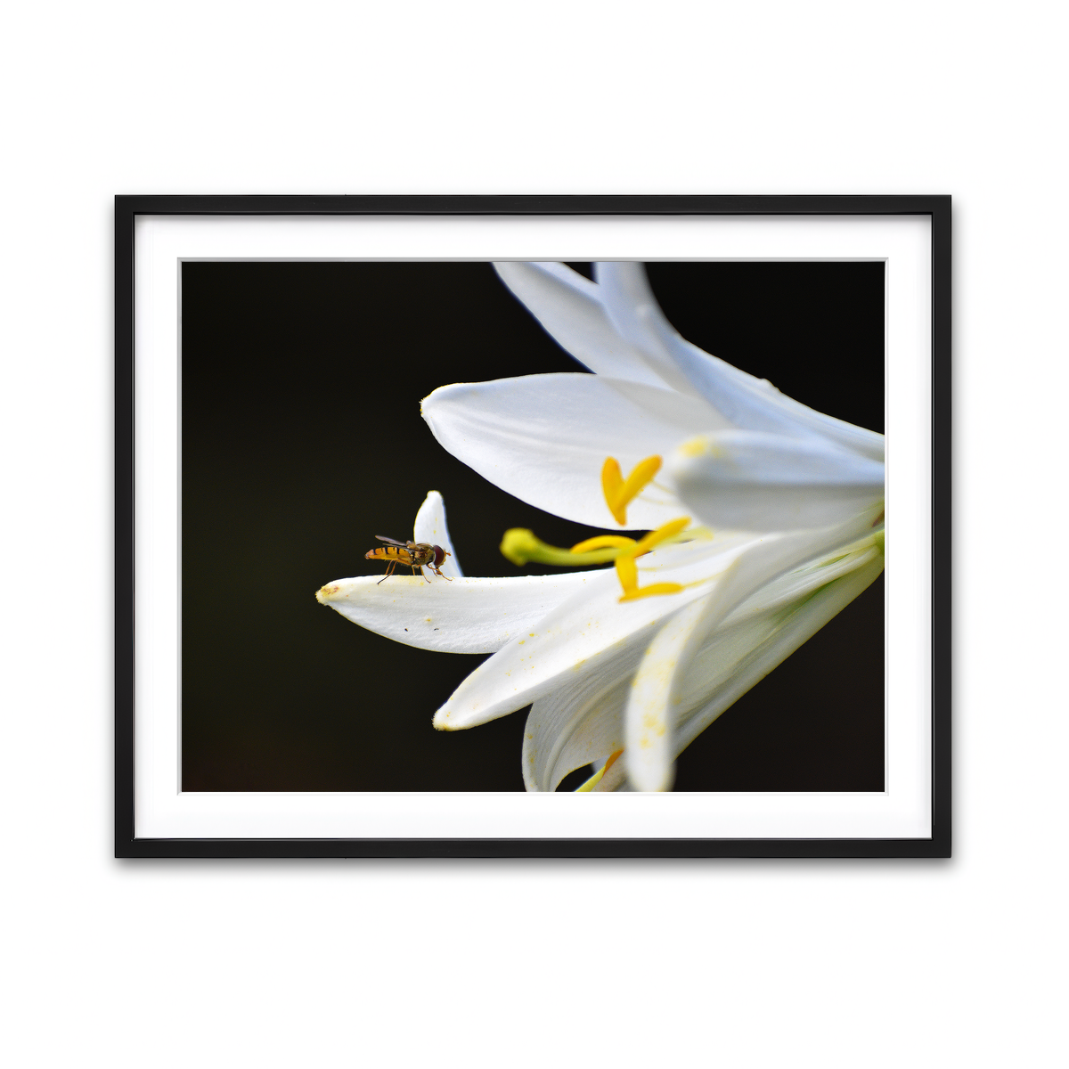 Framed Print 4x3 Black