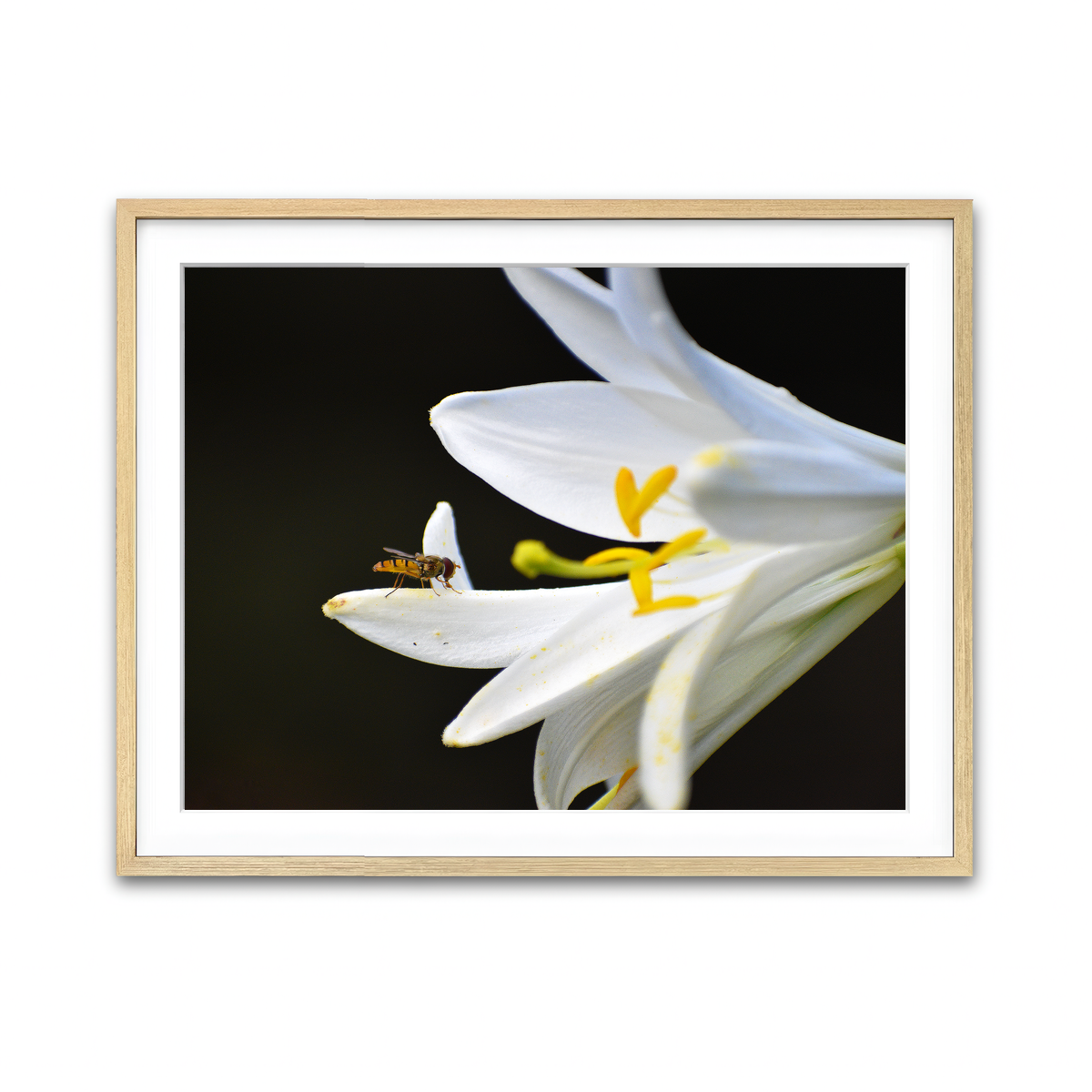 Framed Print 4x3 Natural