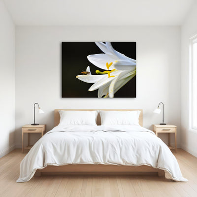 AUTO-MOCKUP ROOM | Pollen