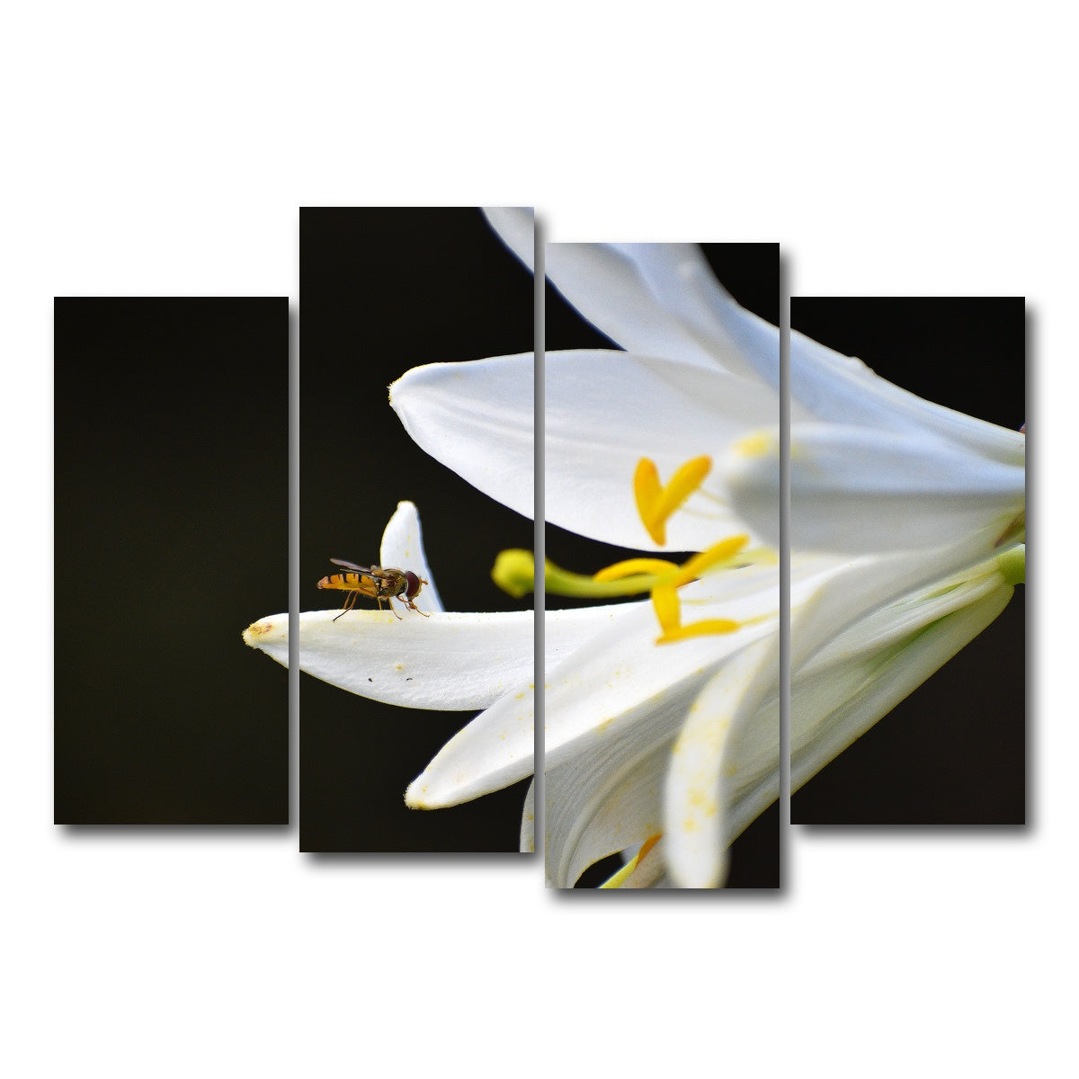 AUTO-MOCKUP WHITE | Pollen | 4 Piece | Gallery Wrap Canvas | group=4_normal