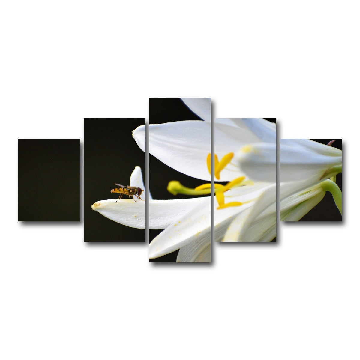AUTO-MOCKUP WHITE | Pollen | 5 Piece | Gallery Wrap Canvas | group=5_short