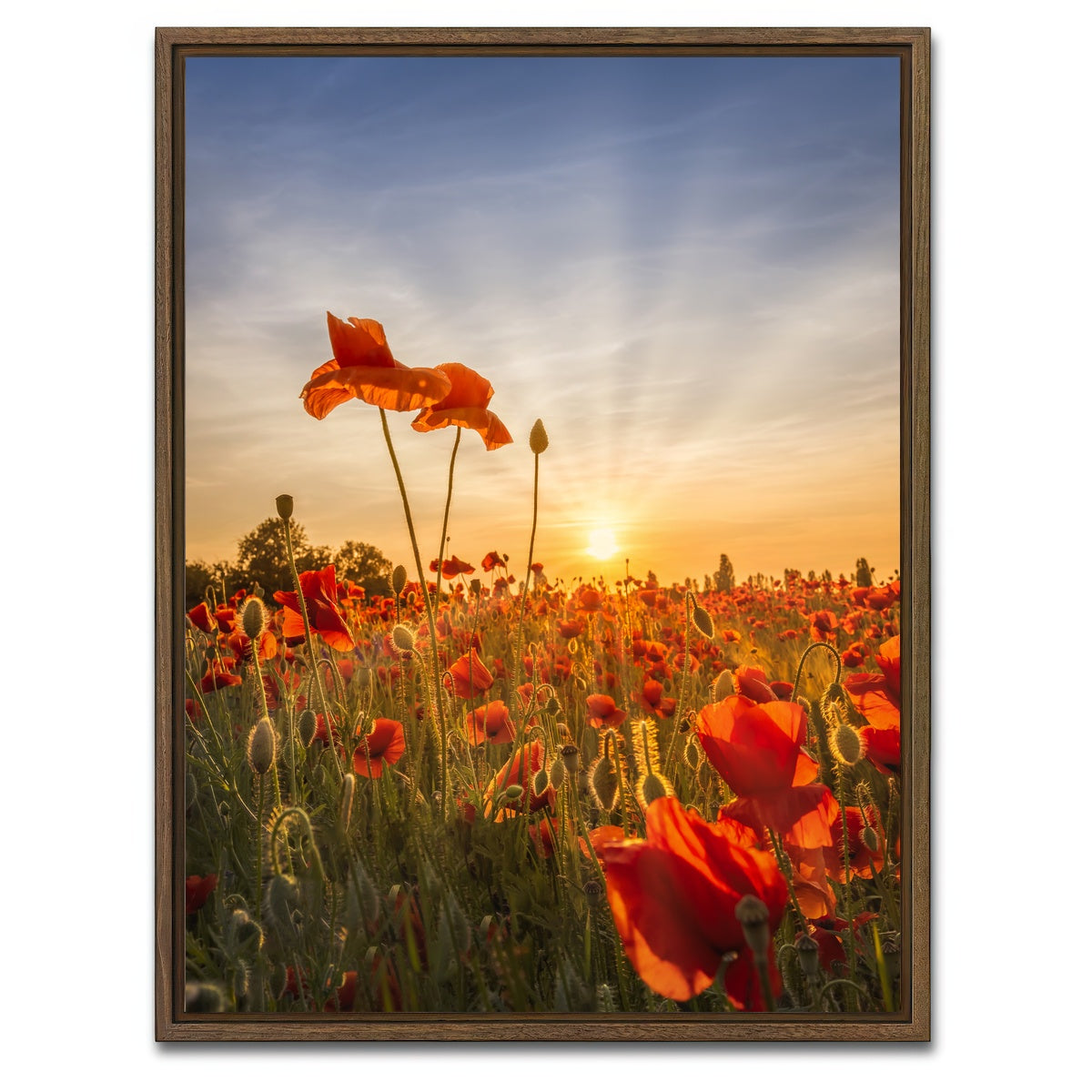 AUTO-MOCKUP WHITE | Poppies in sunset | 1 Piece | Walnut Framed Canvas | group=3x4