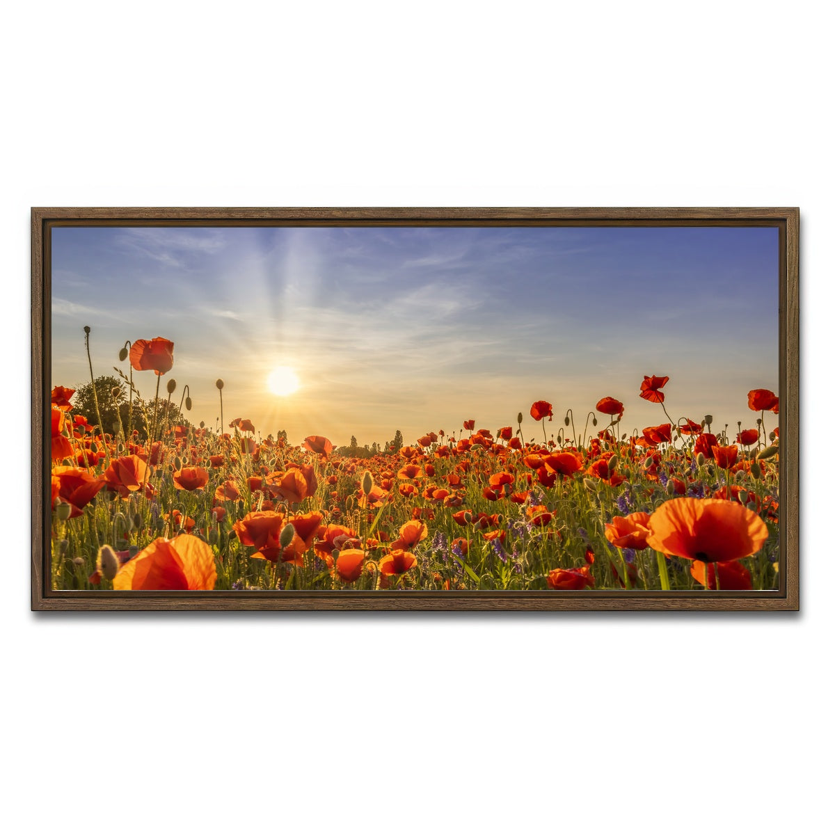 AUTO-MOCKUP WHITE | Poppies in the evening | 1 Piece | Walnut Framed Canvas | group=2x1