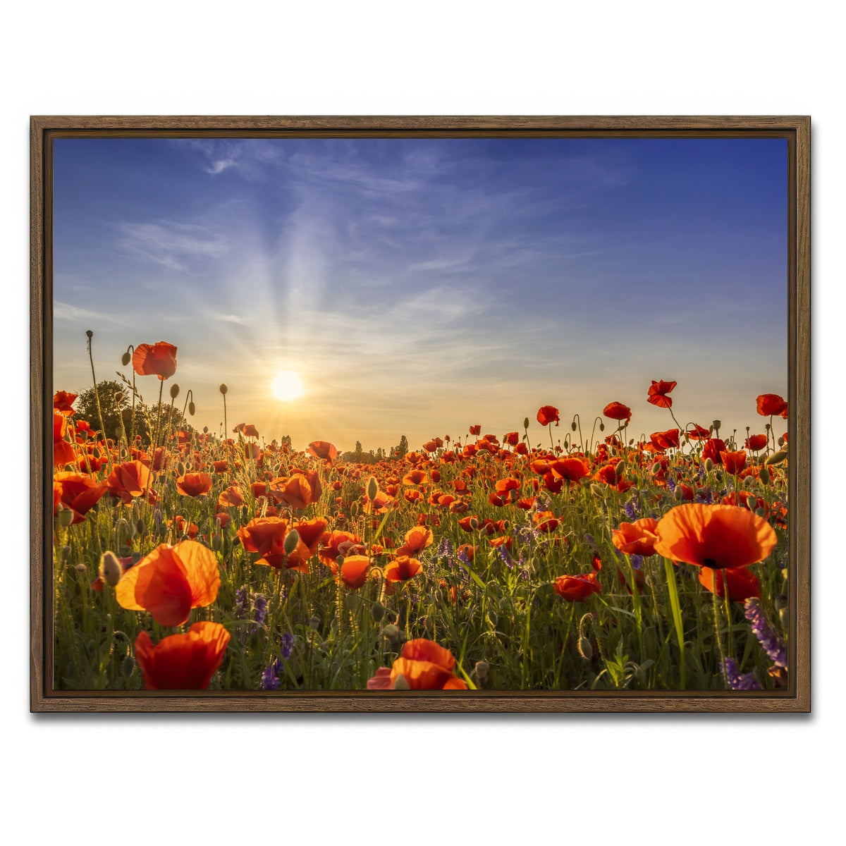 AUTO-MOCKUP WHITE | Poppies in the evening | 1 Piece | Walnut Framed Canvas | group=4x3