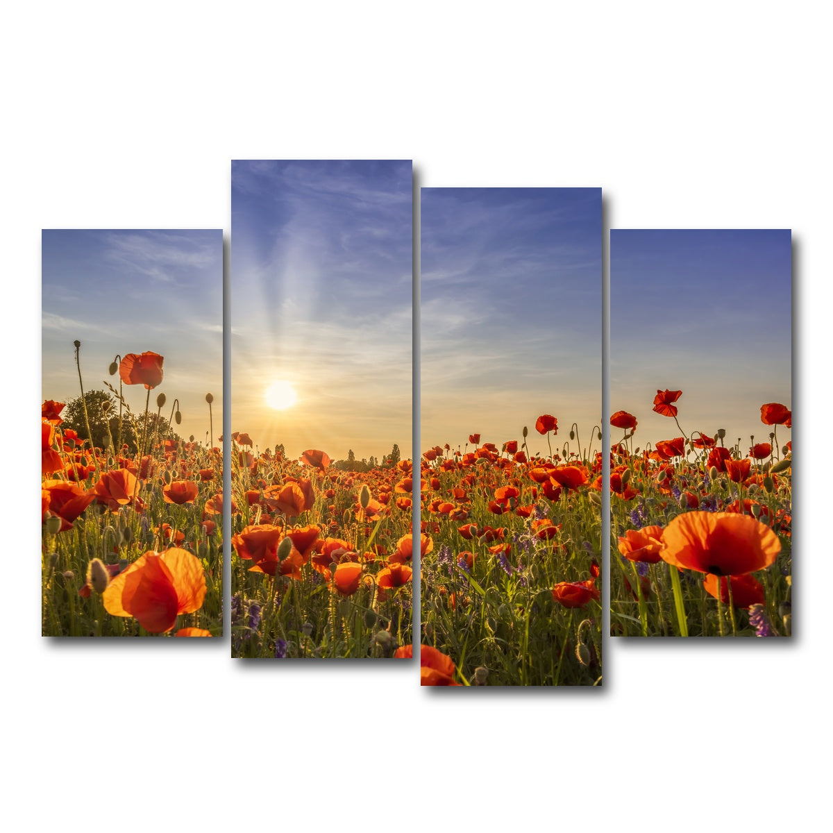 AUTO-MOCKUP WHITE | Poppies in the evening | 4 Piece | Gallery Wrap Canvas | group=4_normal