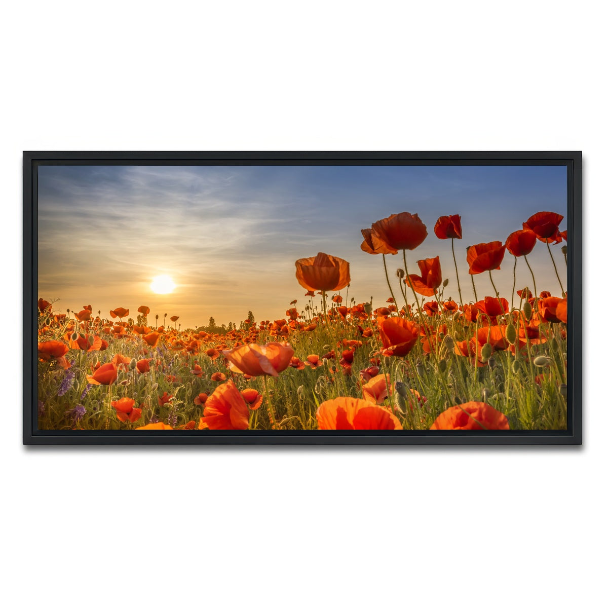 AUTO-MOCKUP WHITE | Poppies in the sunset | 1 Piece | Black Framed Canvas | group=2x1