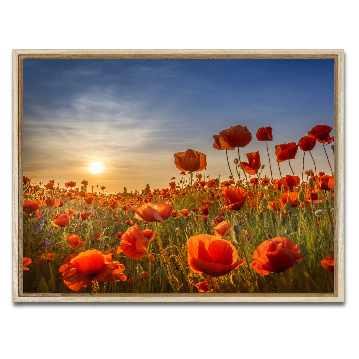 AUTO-MOCKUP WHITE | Poppies in the sunset | 1 Piece | Natural Framed Canvas | group=4x3
