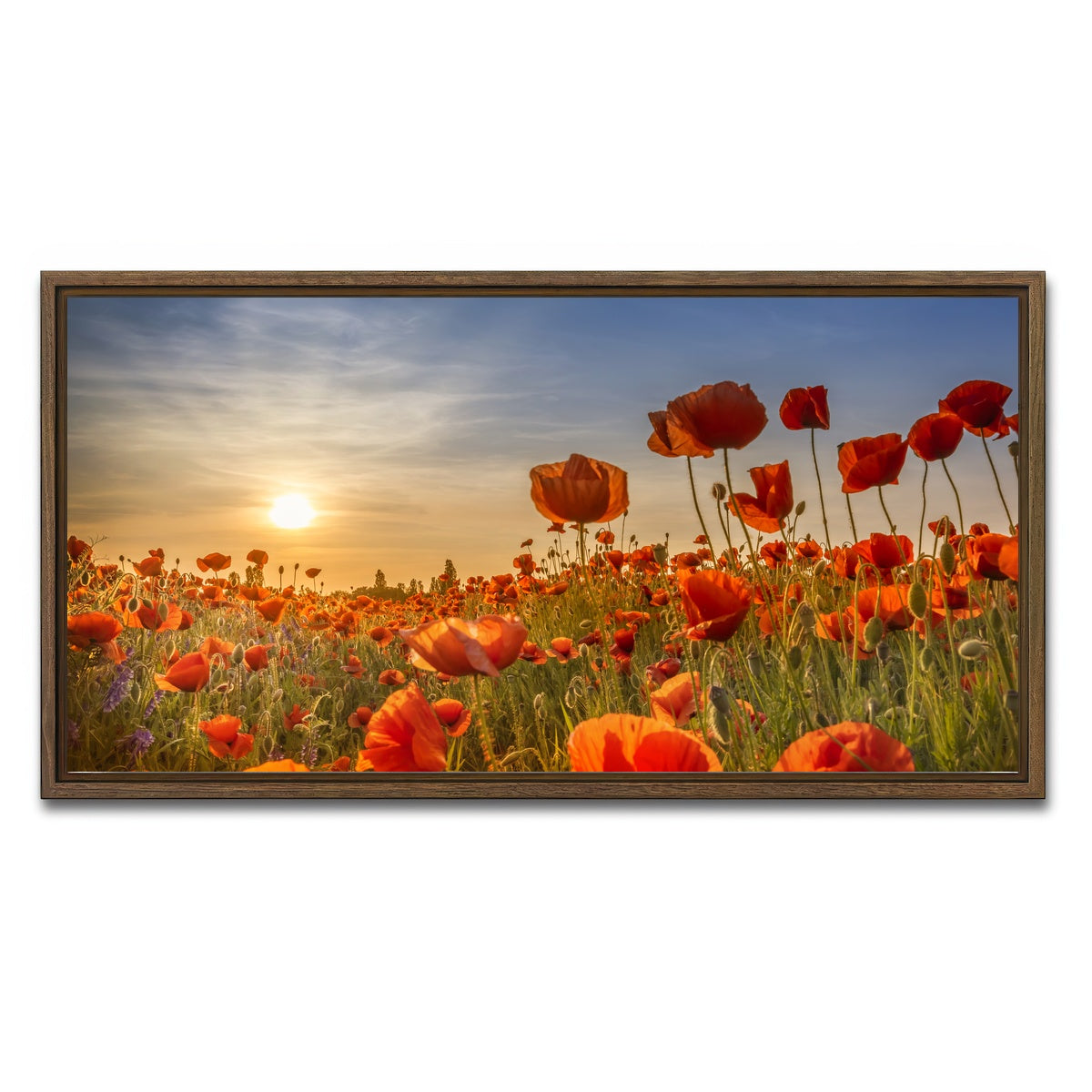 AUTO-MOCKUP WHITE | Poppies in the sunset | 1 Piece | Walnut Framed Canvas | group=2x1