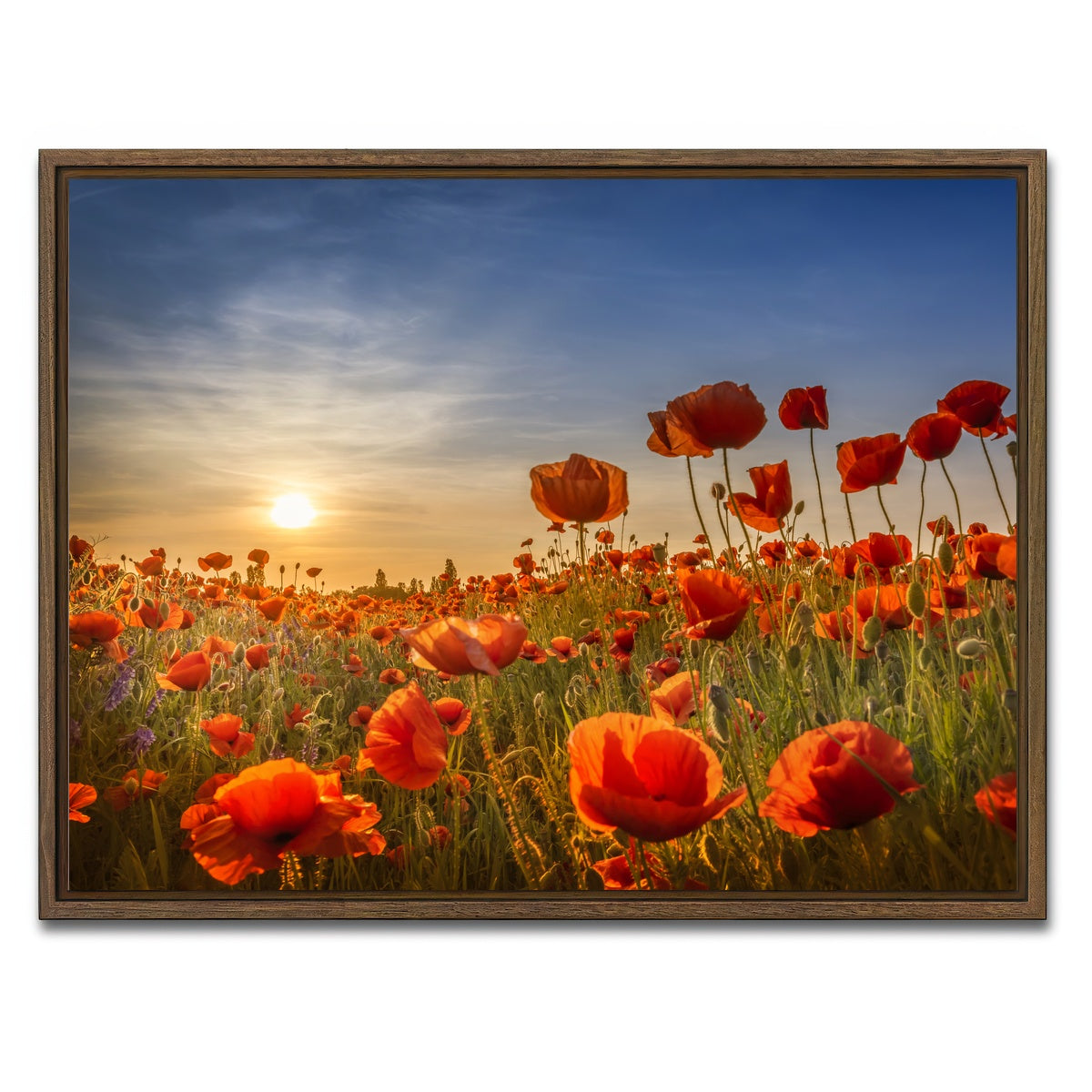 AUTO-MOCKUP WHITE | Poppies in the sunset | 1 Piece | Walnut Framed Canvas | group=4x3
