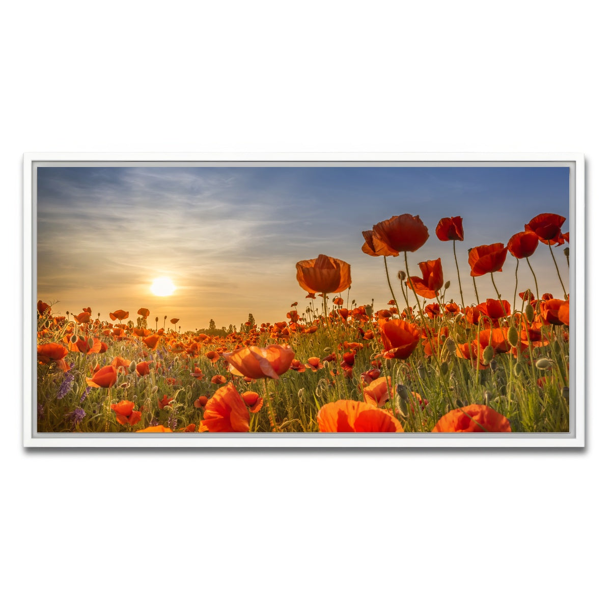 AUTO-MOCKUP WHITE | Poppies in the sunset | 1 Piece | White Framed Canvas | group=2x1