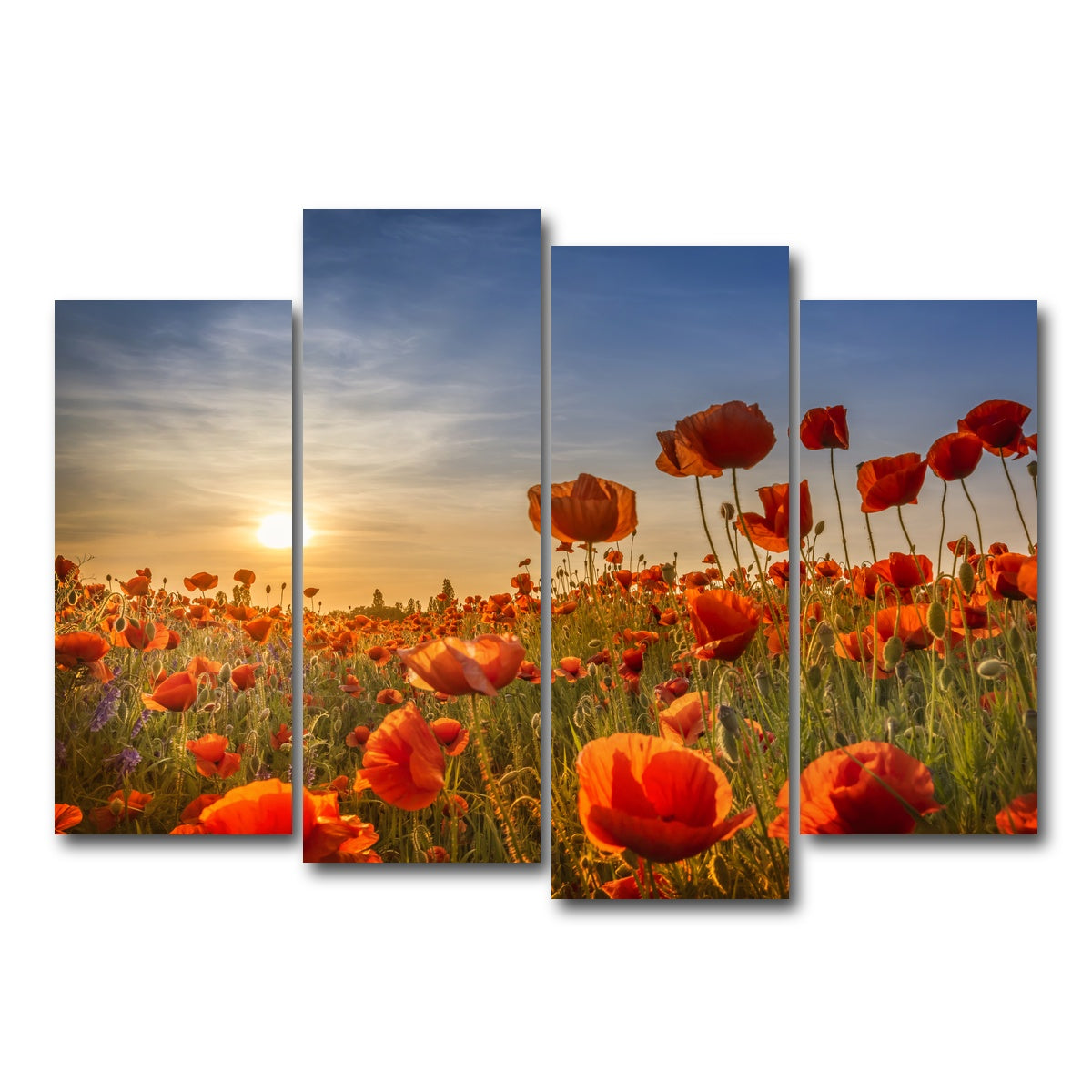 AUTO-MOCKUP WHITE | Poppies in the sunset | 4 Piece | Gallery Wrap Canvas | group=4_normal