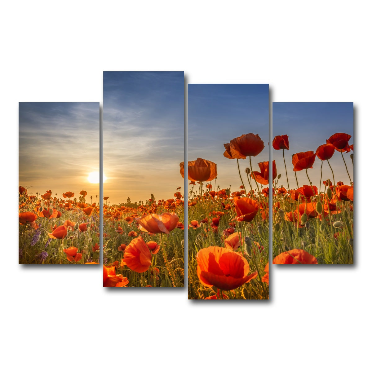 AUTO-MOCKUP WHITE | Poppies in the sunset | 4 Piece | Gallery Wrap Canvas | group=4_short