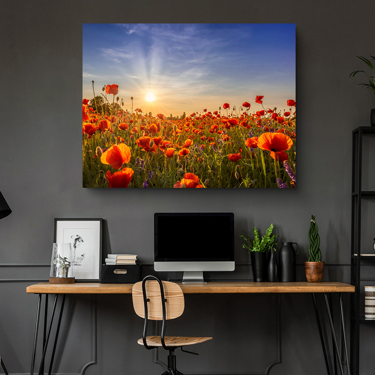 Poppies in the Evening Wall Art