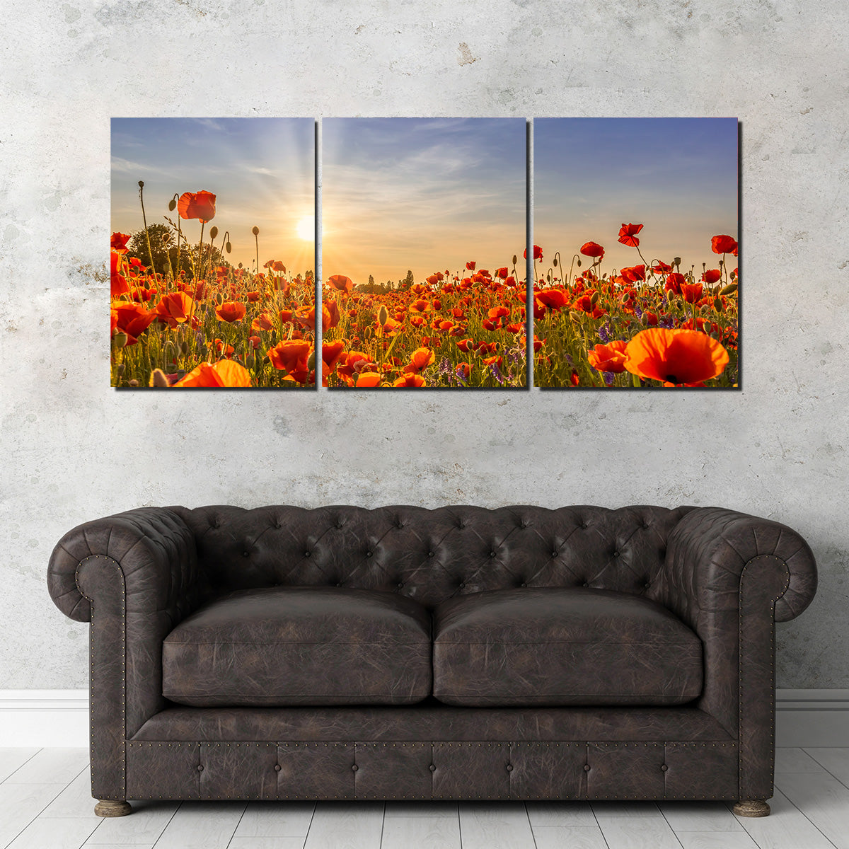 Poppies in the Evening Wall Art