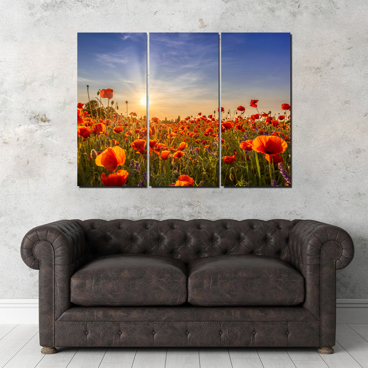 Poppies in the Evening Wall Art