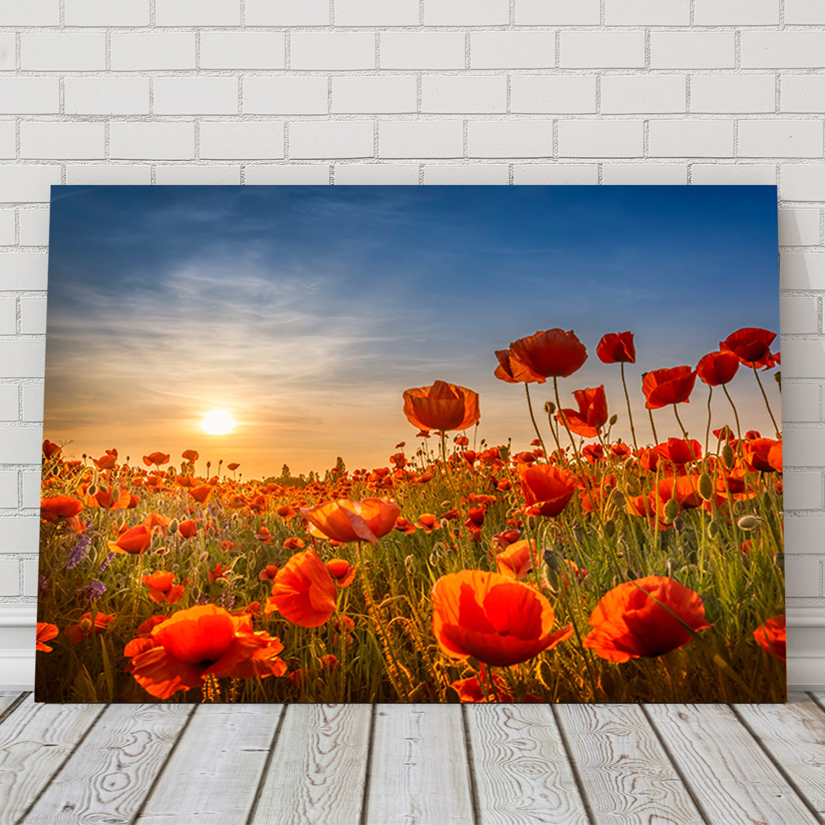 Poppies in the Sunset Wall Art
