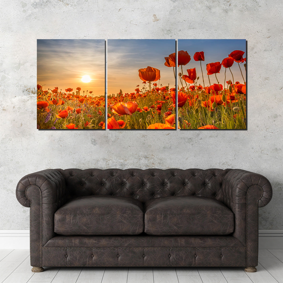 Poppies in the Sunset Wall Art