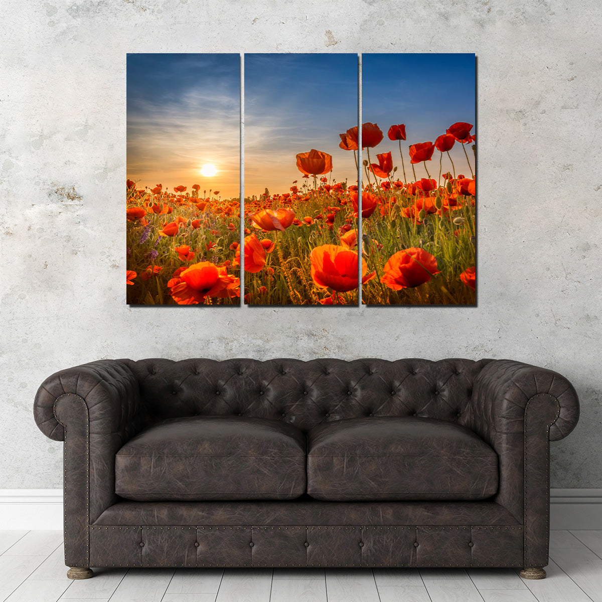 Poppies in the Sunset Wall Art