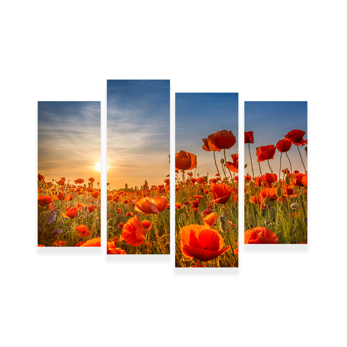 Poppies in the Sunset Wall Art