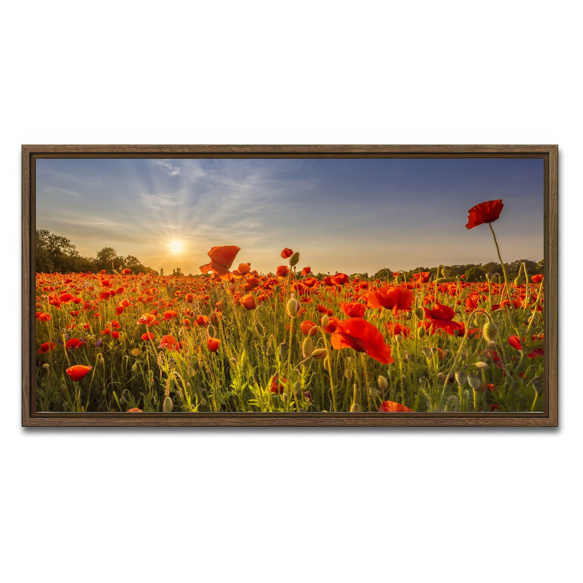 AUTO-MOCKUP WHITE | Poppy field at sunset | 1 Piece | Walnut Framed Canvas | group=2x1