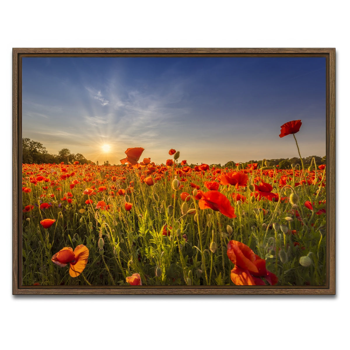 AUTO-MOCKUP WHITE | Poppy field at sunset | 1 Piece | Walnut Framed Canvas | group=4x3