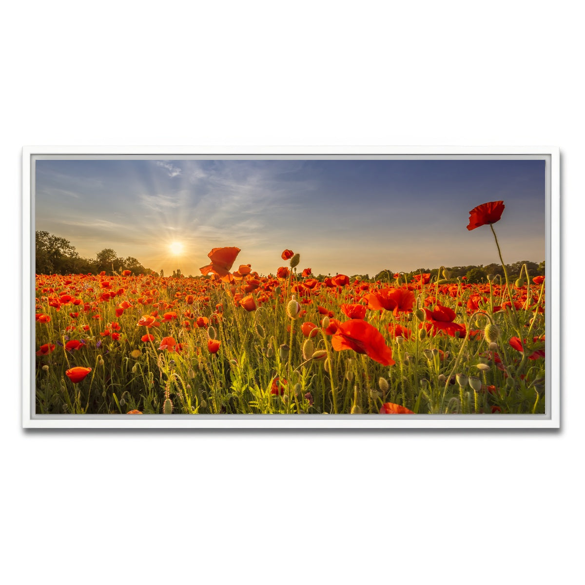 AUTO-MOCKUP WHITE | Poppy field at sunset | 1 Piece | White Framed Canvas | group=2x1