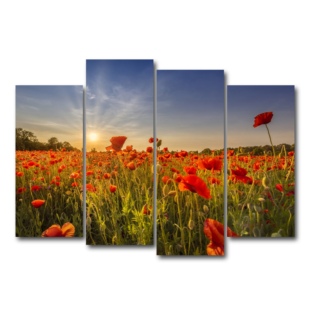 AUTO-MOCKUP WHITE | Poppy field at sunset | 4 Piece | Gallery Wrap Canvas | group=4_normal