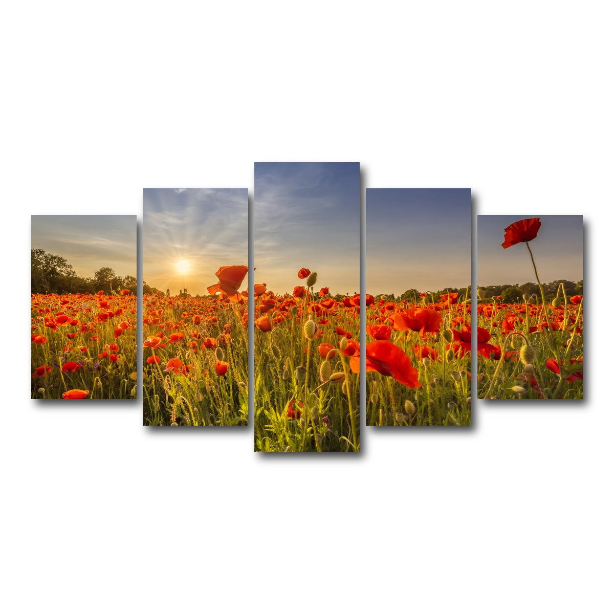 AUTO-MOCKUP WHITE | Poppy field at sunset | 5 Piece | Gallery Wrap Canvas | group=5_normal