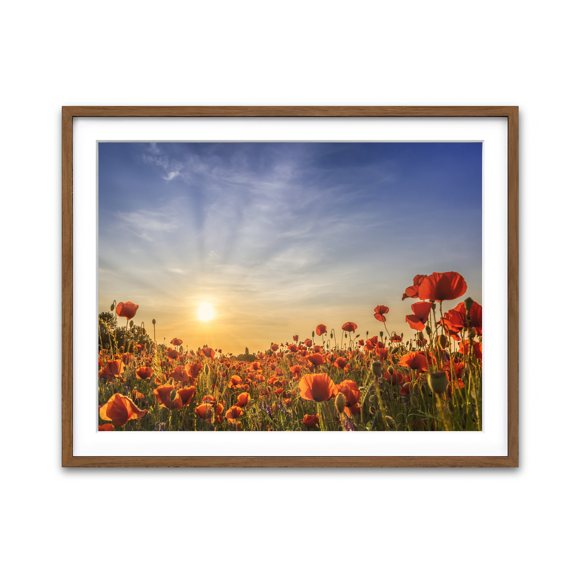Framed Print 4x3 Walnut