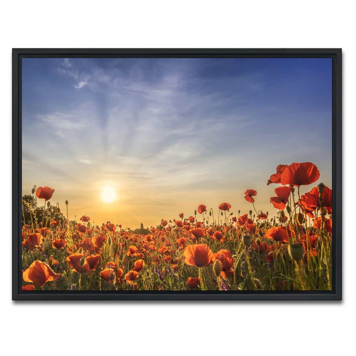 AUTO-MOCKUP WHITE | Poppy field in sunset | 1 Piece | Black Framed Canvas | group=4x3