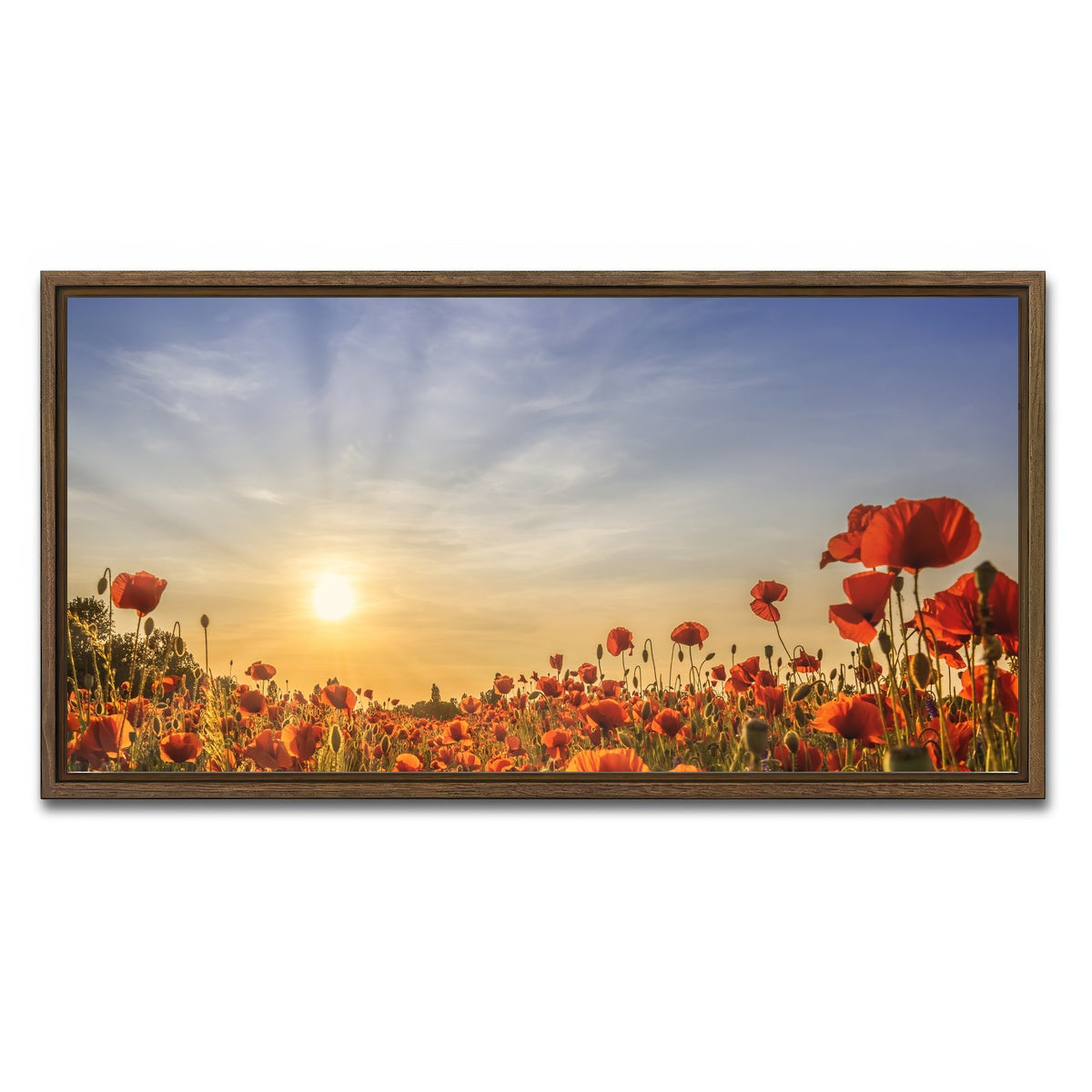 AUTO-MOCKUP WHITE | Poppy field in sunset | 1 Piece | Walnut Framed Canvas | group=2x1