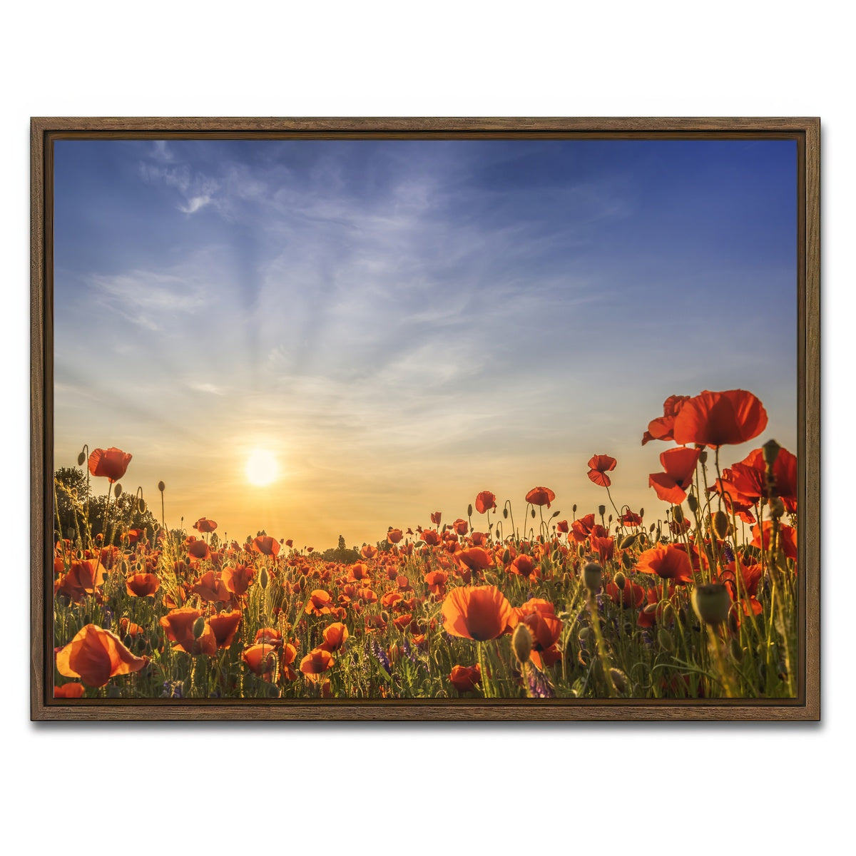 AUTO-MOCKUP WHITE | Poppy field in sunset | 1 Piece | Walnut Framed Canvas | group=4x3