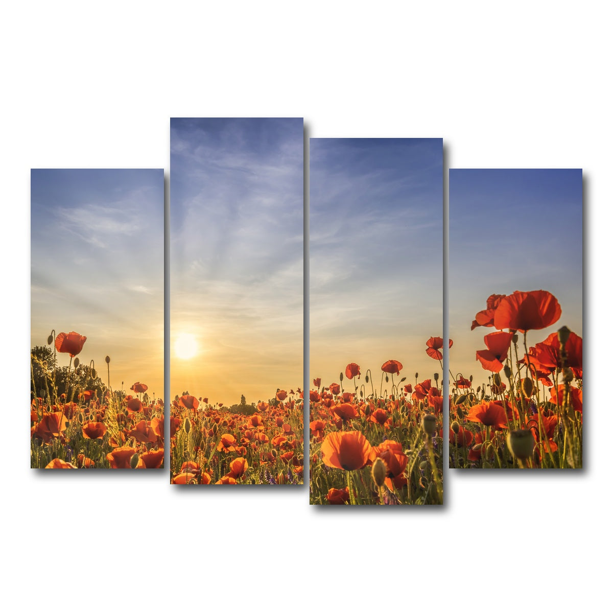 AUTO-MOCKUP WHITE | Poppy field in sunset | 4 Piece | Gallery Wrap Canvas | group=4_normal