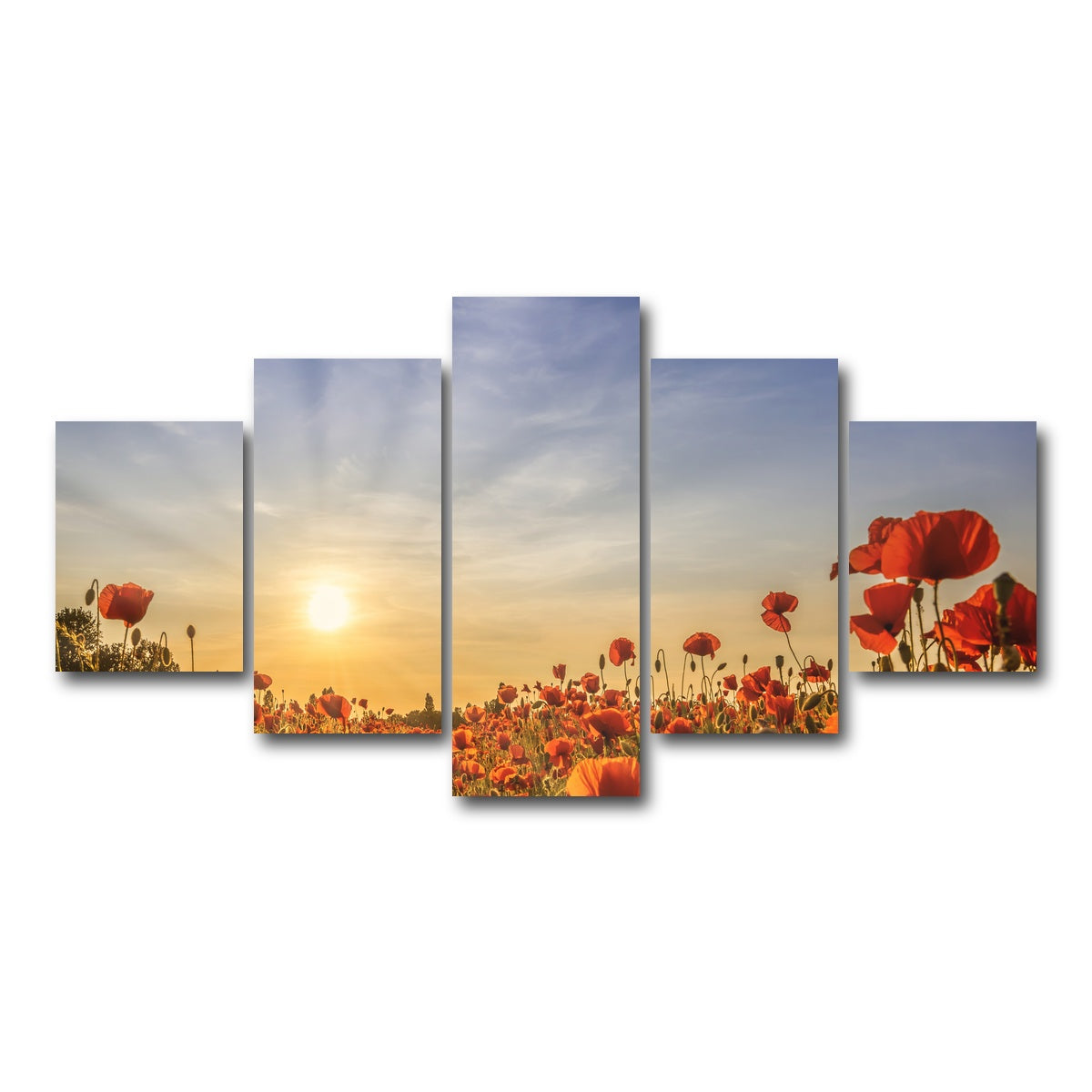 AUTO-MOCKUP WHITE | Poppy field in sunset | 5 Piece | Gallery Wrap Canvas | group=5_short
