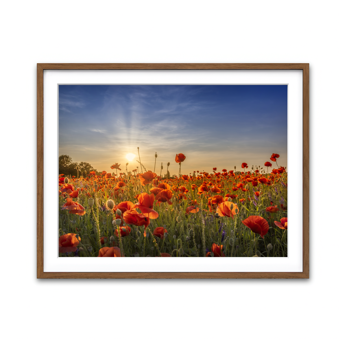 Framed Print 4x3 Walnut