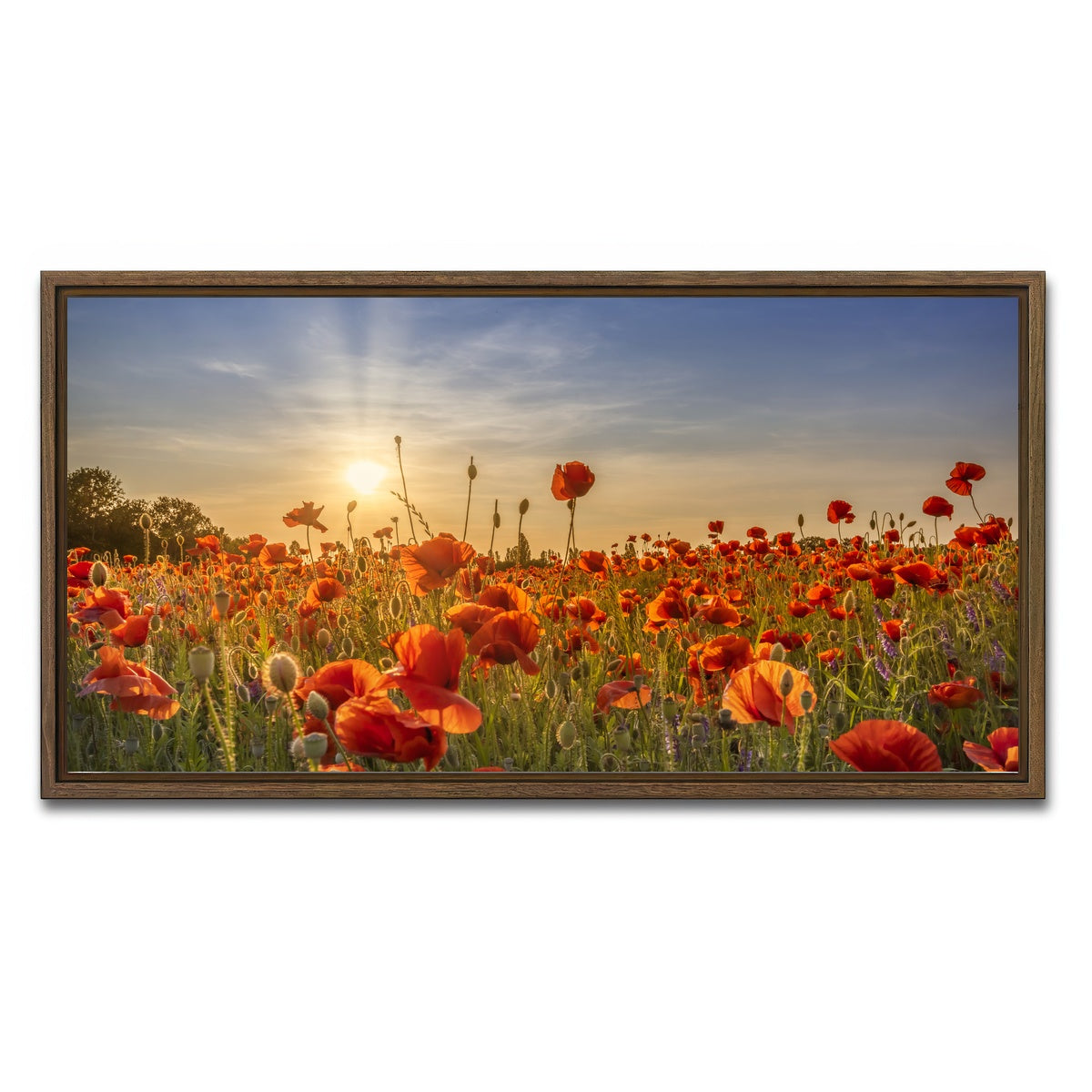 AUTO-MOCKUP WHITE | Poppy idyll in sunset | 1 Piece | Walnut Framed Canvas | group=2x1