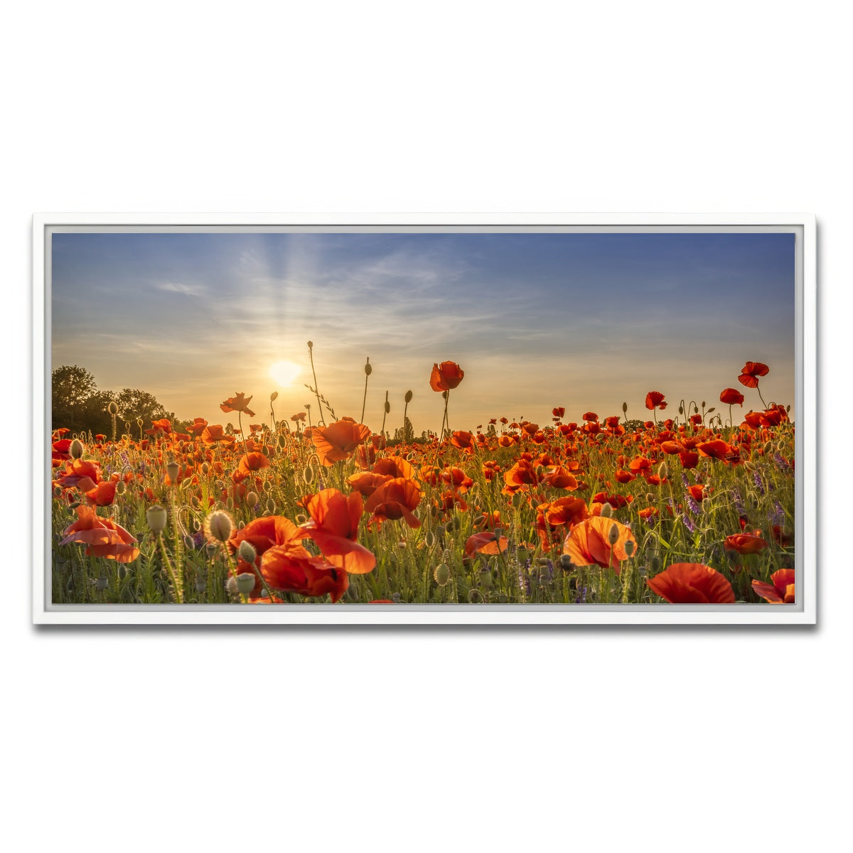 AUTO-MOCKUP WHITE | Poppy idyll in sunset | 1 Piece | White Framed Canvas | group=2x1