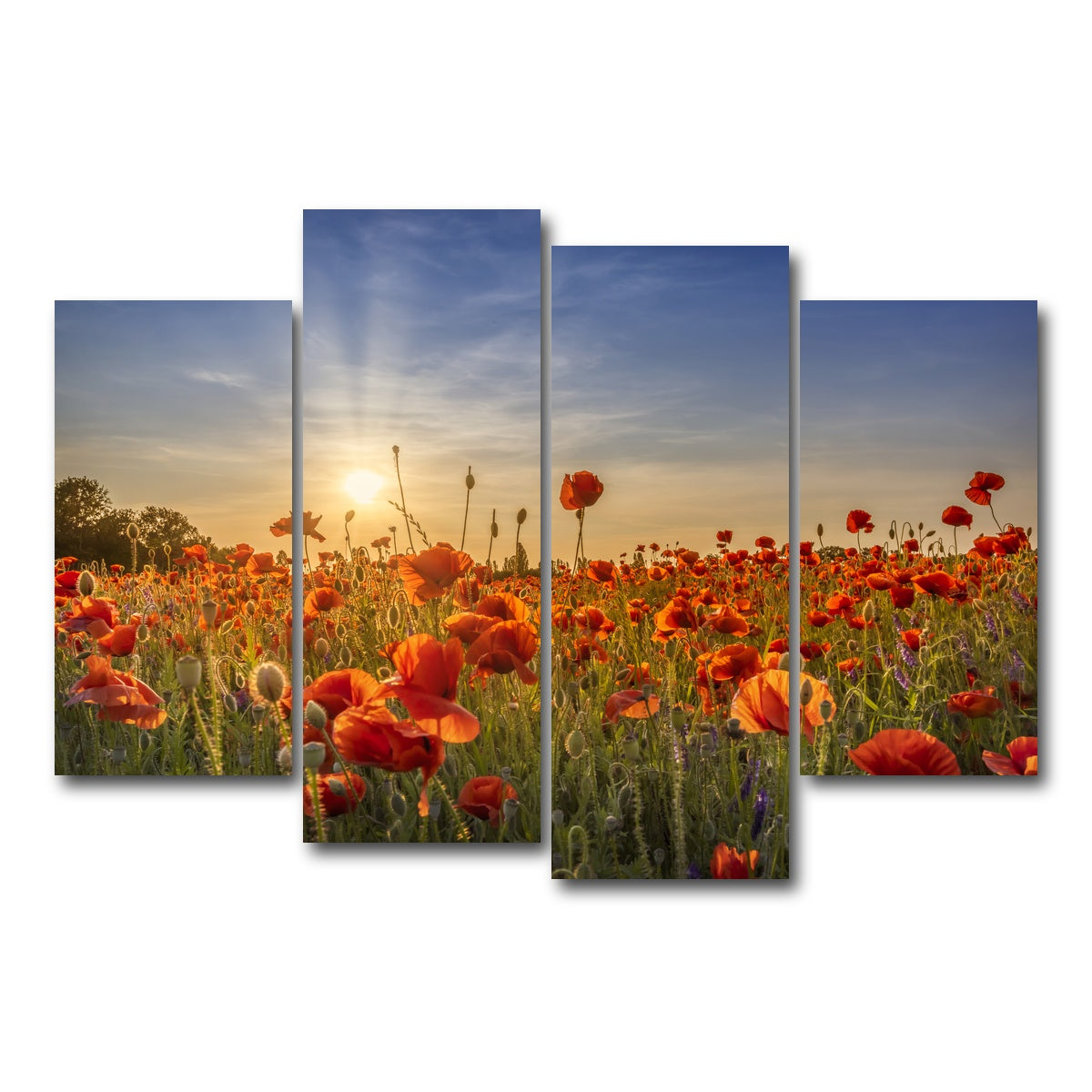 AUTO-MOCKUP WHITE | Poppy idyll in sunset | 4 Piece | Gallery Wrap Canvas | group=4_short