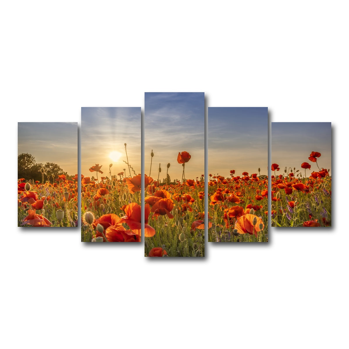 AUTO-MOCKUP WHITE | Poppy idyll in sunset | 5 Piece | Gallery Wrap Canvas | group=5_normal