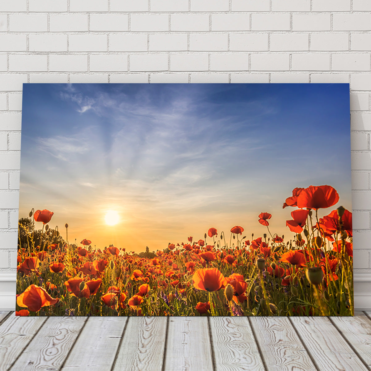 Poppy Field in Sunset  Wall Art